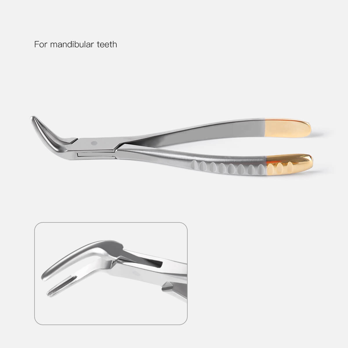Dental Surgical Extraction Root Forceps for Upper/Lower/Universal Use - pairaydental.com