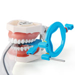 Dental X-Ray Sensor Positioning System 10pcs/Kit