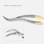 Dental Surgical Extraction Root Forceps for Upper/Lower/Universal Use - pairaydental.com