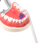Disposable Dental Saliva Ejectors 100Pcs/Bag - pairaydental.com