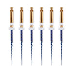 Endo NiTi Rotary Engine Files Heat Activated 25mm S2 6pcs/Pk - pairaydental.com