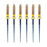 Endo NiTi Rotary Files Heat Activated 25mm F1 6pcs/Pk - pairaydental.com