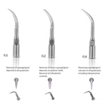 2/4 Holes Dental Air Scaler Handpiece With 3 Scaler Tips (G1,G2,P1) - pairaydental.com