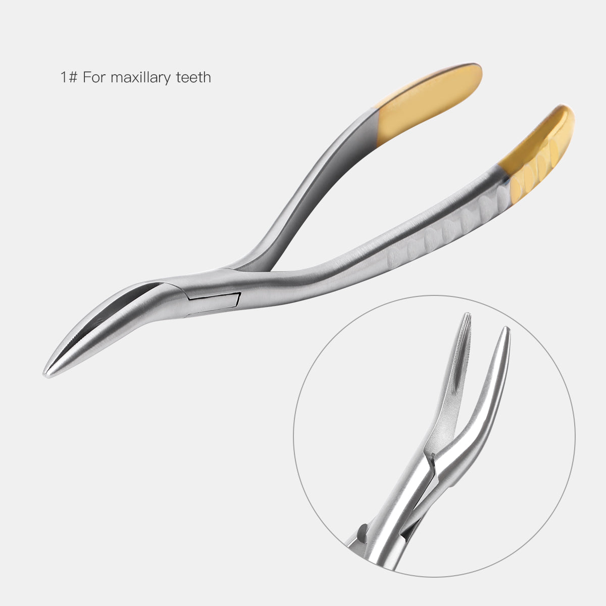 Dental Root Fragment Minimally Invasive Tooth Extraction Forceps Pliers #1 Maxillary Teeth Root - pairaydental.com