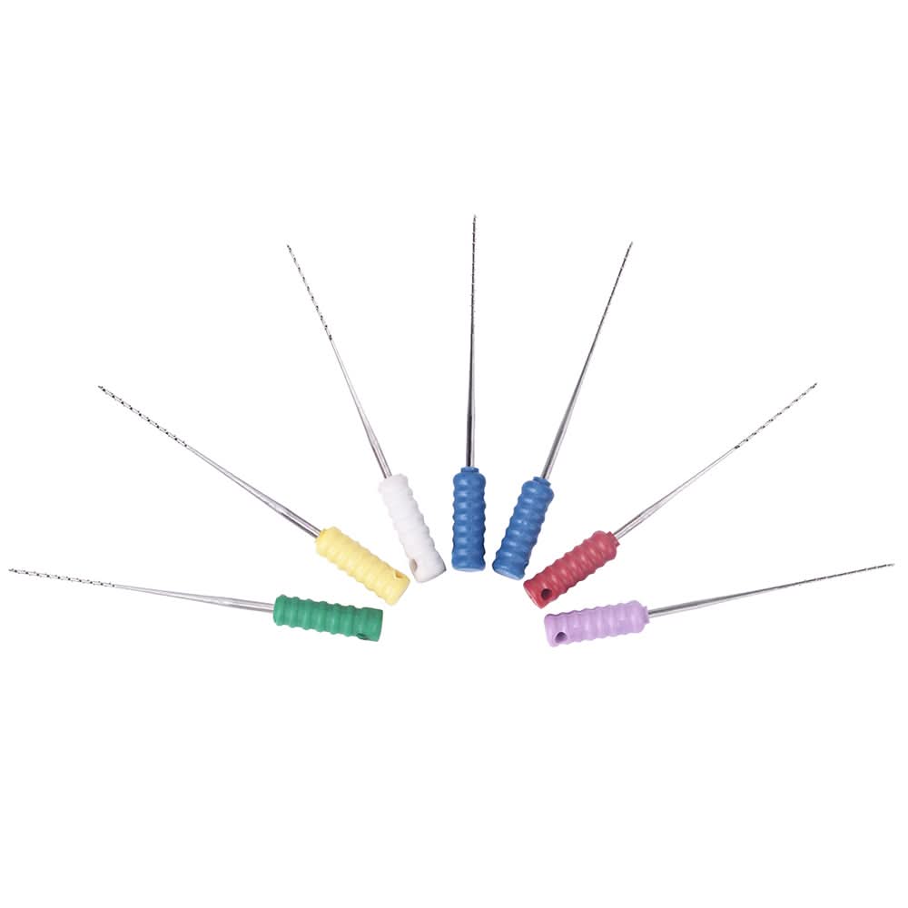 Endo Barbed Broaches Files Stainless Steel 25mm 10pcs/Pk - pairaydental.com