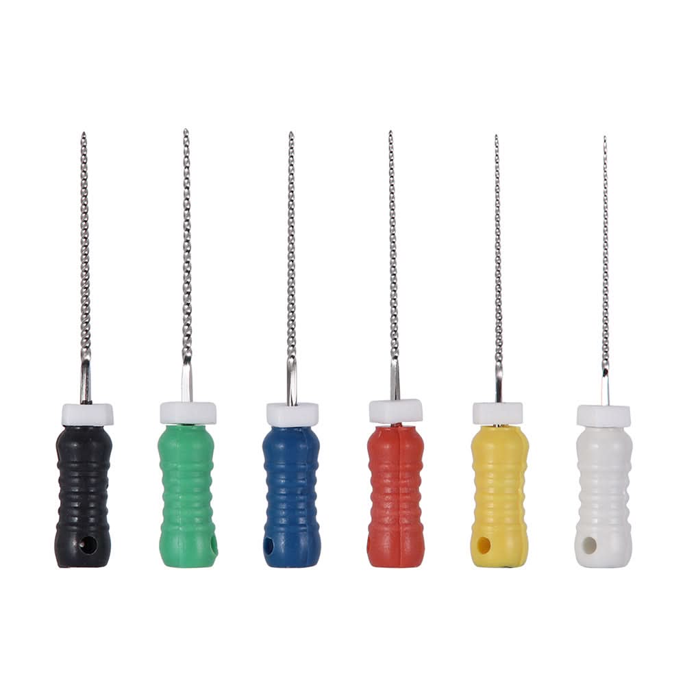 Endo Hand K-Files Stainless Steel 21mm #15-40 Assorted 6Pcs/Pk - pairaydental.com