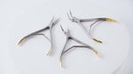 Dental Residual Root Tweezers Stainless Steel - pairaydental.com