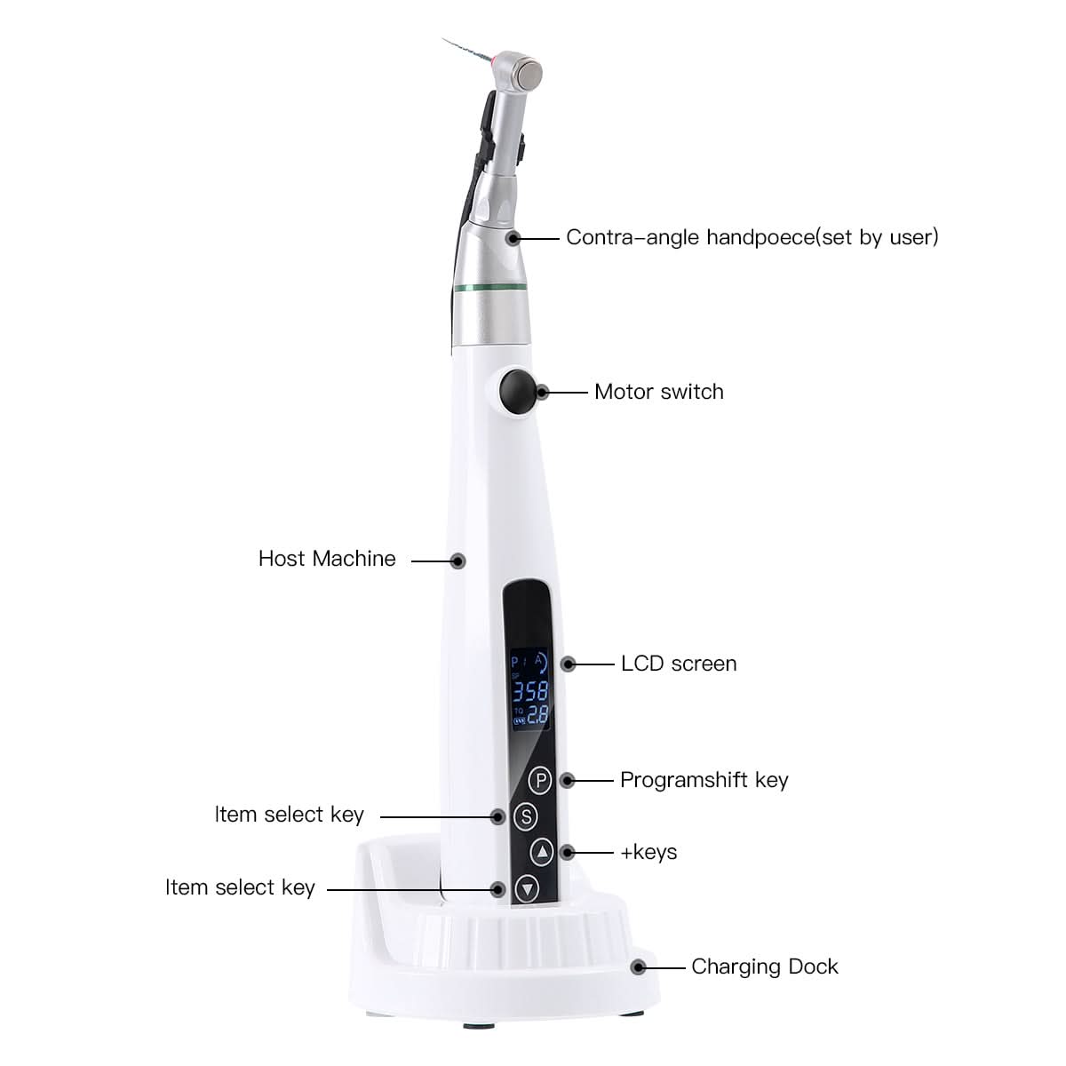 Cordless Endo Motor Handpiece LED Reciprocation Function 360° Rotatable 10 Working Procedure - pairaydental.com
