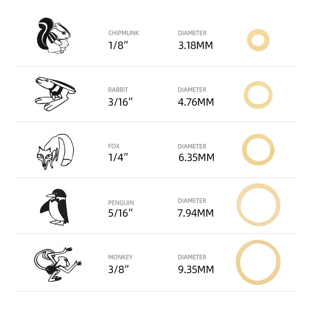 Orthodontic 3.5 OZ Rubber Bands Latex Braces Force 5 Sizes 5000pcs/Box