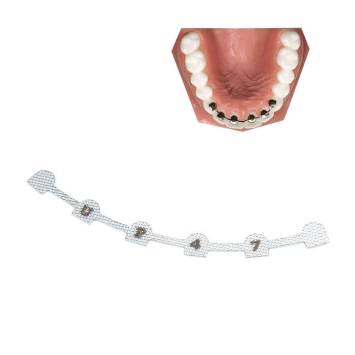 Lingual Retainer Bonding Splits U#38-47 & L#29-37 with Mark 10pcs/Bag - pairaydental.com