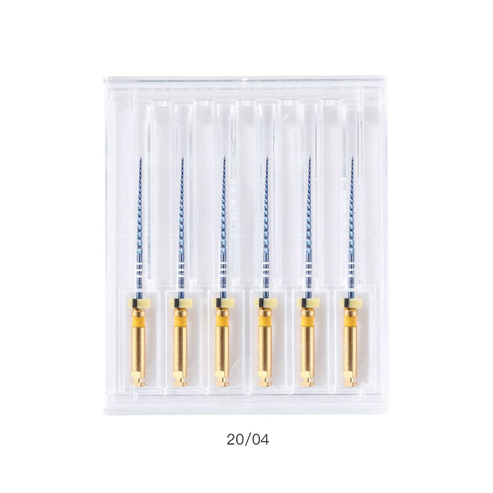 Endo NiTi Rotary Files Engine Use 25mm #20/04 6pcs/Pack – pairaydental
